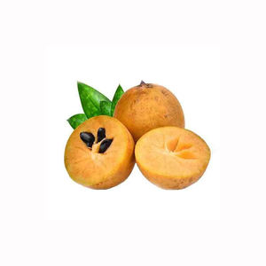 Fruta de sapota chikoo fresca de calidad de exportación, cosecha premium de granja, producto maduro y dulce, pedidos al por mayor - Product Image 1