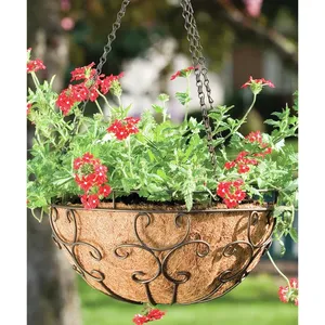 Latest Design Hanging Planter <b>for</b> Indoor <b>Decoration</b> High Quality Planter with Less Price Home Hotel Indoor Outdoor <b>Decor</b> Usage - Product Image 2