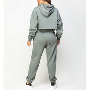 Nueva ropa deportiva chándal entrenamiento Fitness polar de talla grande sudadera y pantalones de chándal conjuntos de chándal para mujer - Product Image 6