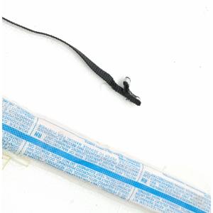 AIRBAG DE L'ÉTUIRE PASSENGER POUR CITROËN C3 Série 981185798 (16>) - Product Image 3
