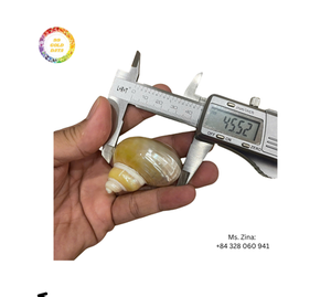 Servilleteros de concha Natural hechos a mano, servilletero de concha marina único para decoración de mesa de fiesta de boda costera hecho a mano en Vietnam - Product Image 4