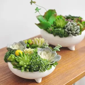 Artificial Succulent Combination Potted Plant Natural Style Fake Plant Table Decoration Ceramic Pot Set DS50