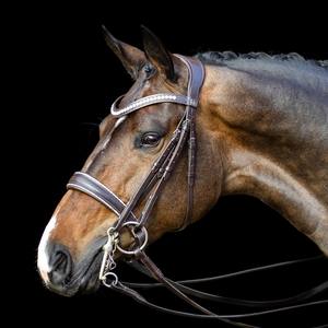 Horse Daisy Flower Crystal Diamante COMFORT Bling Show Dressage Brida - Product Image 6