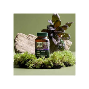 Vente en gros de racine de galanga séchée de qualité supérieure épices naturelles pures produits à base d'herbes traitement brut sous forme de cube gingembre et poudre de curcuma - Product Image 6