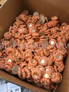 Bougeoir en métal floral traditionnel indien fait à la main pour la décoration intérieure mariages Diwali fêtes cadeaux meilleure vente - Product Image 3