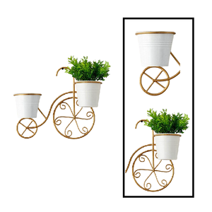 Planteur de plante de mur de style de bicyclette de fil et de feuille en métal avec le manteau de poudre - Product Image 2