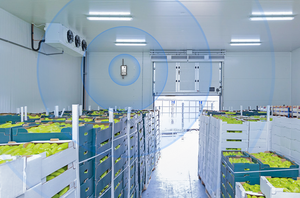 Transmisor Inalámbrico de Temperatura/Humedad LA3H con Alertas Programables para Validación de Refrigeradores Farmacéuticos - Product Image 6