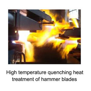 Molinillo continuo de madera en China 100kg máquina de molino de martillo para pescado en polvo - Product Image 5