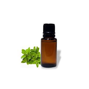 Aceite Esencial de Marjolima Dulce 100% Puro y Natural de Primera Calidad al Por Mayor al Mejor Precio - Product Image 2