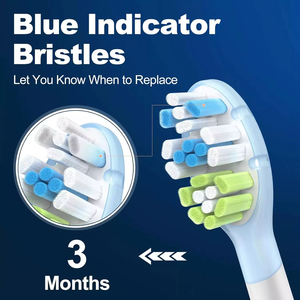 High Quality Electric <b>Toothbrush</b> <b>Head</b> with Medium Bristles and Nylon Material Replacement <b>Heads</b> for Hotel & Household Daily Use - Product Image 3