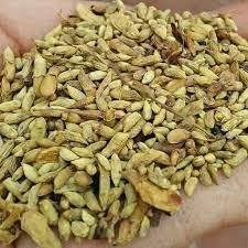 ตาโซโฟราแห้งแบบ100%/การดูแลเรือ/การสนับสนุนภูมิคุ้มกัน/ความดีที่ได้จากพืช - Product Image 5