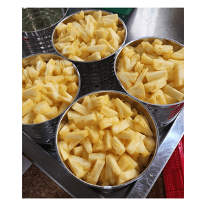 Piña enlatada de alta calidad 100% piña fresca natural/oferta caliente 2025 piña enlatada de Vietnam - Product Image 1