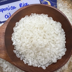 Riz rond Koshihikari Japonica Calrose pour sushi, disponible en emballage en vrac |   Échantillon disponible, contactez Kayla au +84 85 693 9777 - Product Image 2