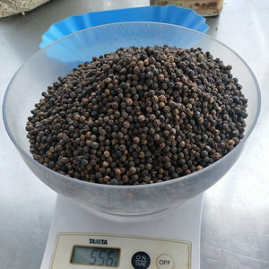 Poivre noir 550G/L ASTA/Machine nettoyée propre herbe séchée épices crues Contact Sandra + 84 962 368 726 - Product Image 6