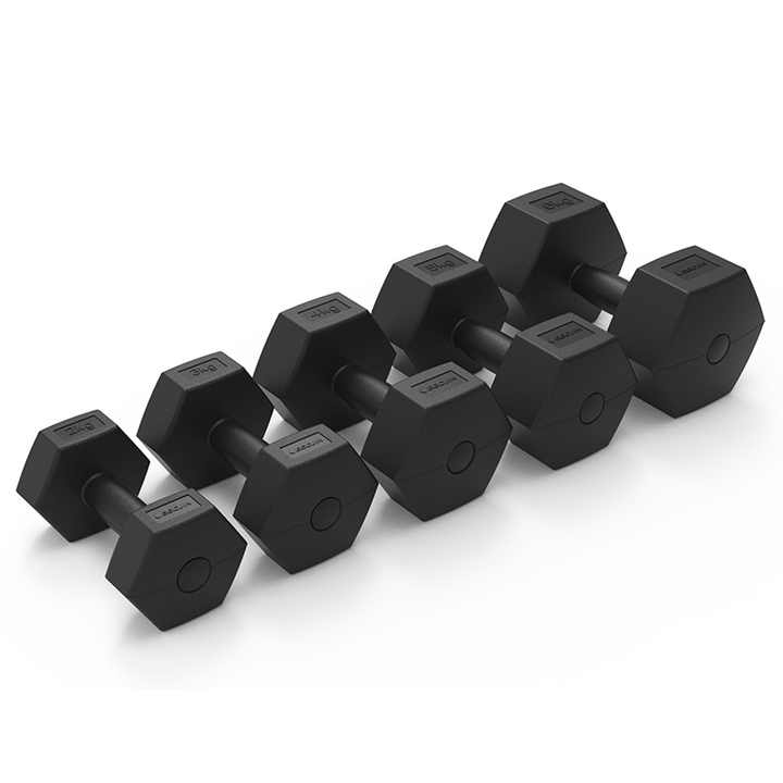 EGOGYM Black Hex Dumbbells