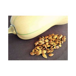 เมล็ดสควอชเปลือกและเมล็ดฟักทองเมล็ดสควอช - Product Image 3