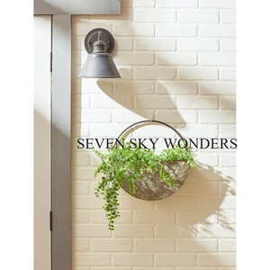 Maceta ovalada de Metal de tendencia para colgar en la pared con asa, maceta gris cálida para decoración del hogar, decoración de jardín interior, maceta montada en la pared - Product Image 5