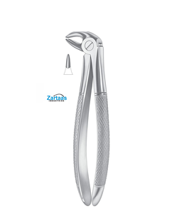 Pinzas de extracción de acero inoxidable de alta calidad No. Fabricante y Exportadores de Premolares Inferiores 13s para Niños - Product Image 1