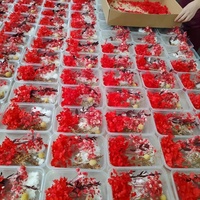 Flores Secas de Eucalipto Mixtas de Larga Duración al por Mayor, Materiales para Arreglos Florales Hechos a Mano, para Navidad y el Día de la Madre