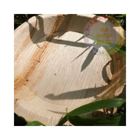 Assiettes jetables et biodégradables en feuilles de palmier Areca-Repas durables