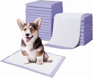 Tapis d'entraînement jetables personnalisés pour chiots et chiens, absorbants pour pipi et urine, 60*90 - Product Image 1