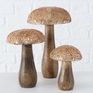 Soporte de setas de madera dura natural hecho a mano para encantadores interiores de cabañas rústicas o arreglos de exhibición de estantes botánicos - Product Image 2