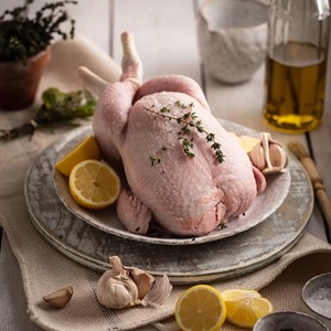 Wholesale Delicious Packaging Brand Frozen <b>Chicken</b> Body Premium Quality Imported Poultry Meat Vacuum Pack IQF 10kg Fast Delivery - Product Image 2