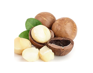 Premium Natural <b>Macadamia</b> <b>Nuts</b> Type a Origin Delicious and Convenient with Cheapest Price From 99 GD - Product Image 1