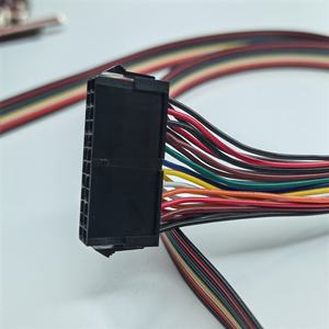 Kabel Rakitan Pigtail 500MM Molex Micro-Fit 3.0 24 Sirkuit Konektor Betina Custom MX3.0 2*12 Pin 43025-2400 - Product Image 4