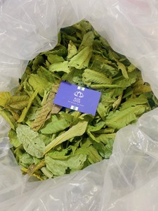 PRIX CHAUD 2024 FEUILLE DE GOYAVE SÉCHÉES DE HAUTE QUALITÉ FABRIQUÉ AU VIET NAM PRODUIT MEILLEUR PRIX DE BLEU LOTUS FARM VIET NAM - Product Image 2
