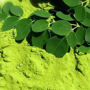 100% Natural Moringa Leaf Powder Food Grade Moringa Powder Dietary Supplement
