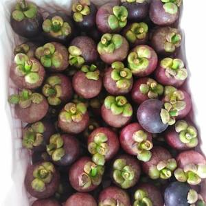 Mangoustan biologique fraîchement mûr de Thaïlande, naturellement sucré, nutritif, collation saine, 8 kg, qualité A, Khey TaladThai - Product Image 2