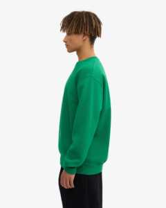 Sweatshirts Hommes Multi Color Crewneck Sweatshirts Avec Logo Personnalisé Sweatshirts Hommes Respirant Vert Épais Polaire Solide - Product Image 3