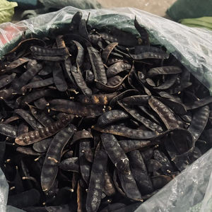 Langosta seca de miel de alto grado Fructus Gleditschiae de Vietnam - Product Image 6