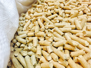 Granulés de bois Pologne Pellet | Granulés de bois Pellet Pellet de bois Pellet de bois Sacs de 15kg | Usine de granulés de bois - Product Image 4