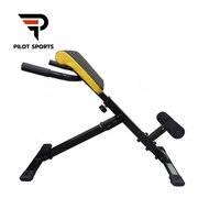 Chaise romaine professionnelle pour l'entraînement des muscles abdominaux et des dorsaux par hyperextension