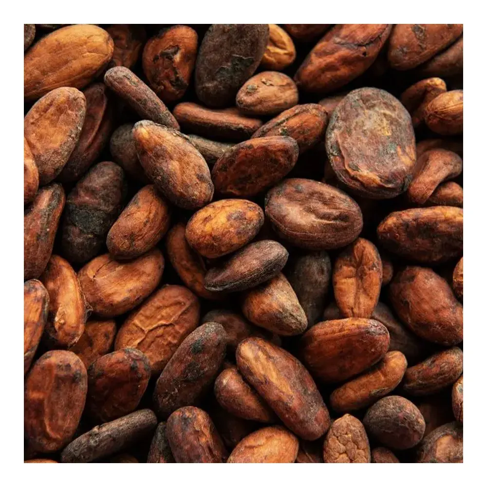 Gedroogde Cacaobonen In Zakken Van 50Kg, Biologische Geroosterde Cacaobonen, Zongedroogde Rauwe Cacaobonen Te Koop