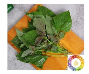 Hojas de perilla secas puras para venta a granel: las mejores hojas de perilla secas verdes de Shiso y Britton de alta calidad a precios competitivos - Product Image 5