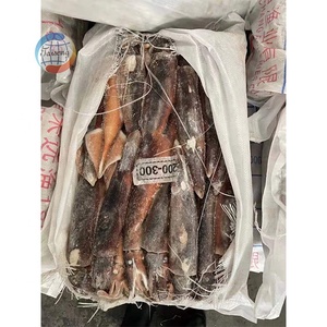 Chất lượng cao đông lạnh toàn bộ vòng Hoang Dã Catch150-200g illex Argentina mực cho cá ngừ mồi nguyên liệu illex mực - Product Image 4