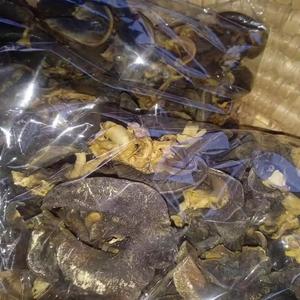 Smail de África seca de primera calidad para usos de salud natural recién embalado con entrega rápida y satisfacción del cliente de confianza - Product Image 6