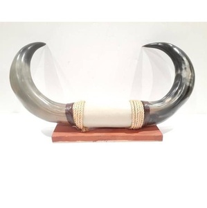 Decoración de Pared Artesanal de Cuerno de Buey Natural, Estilo Animal Ecológico, Pulido a Mano, Adorno Rústico para Cabaña - Product Image 6