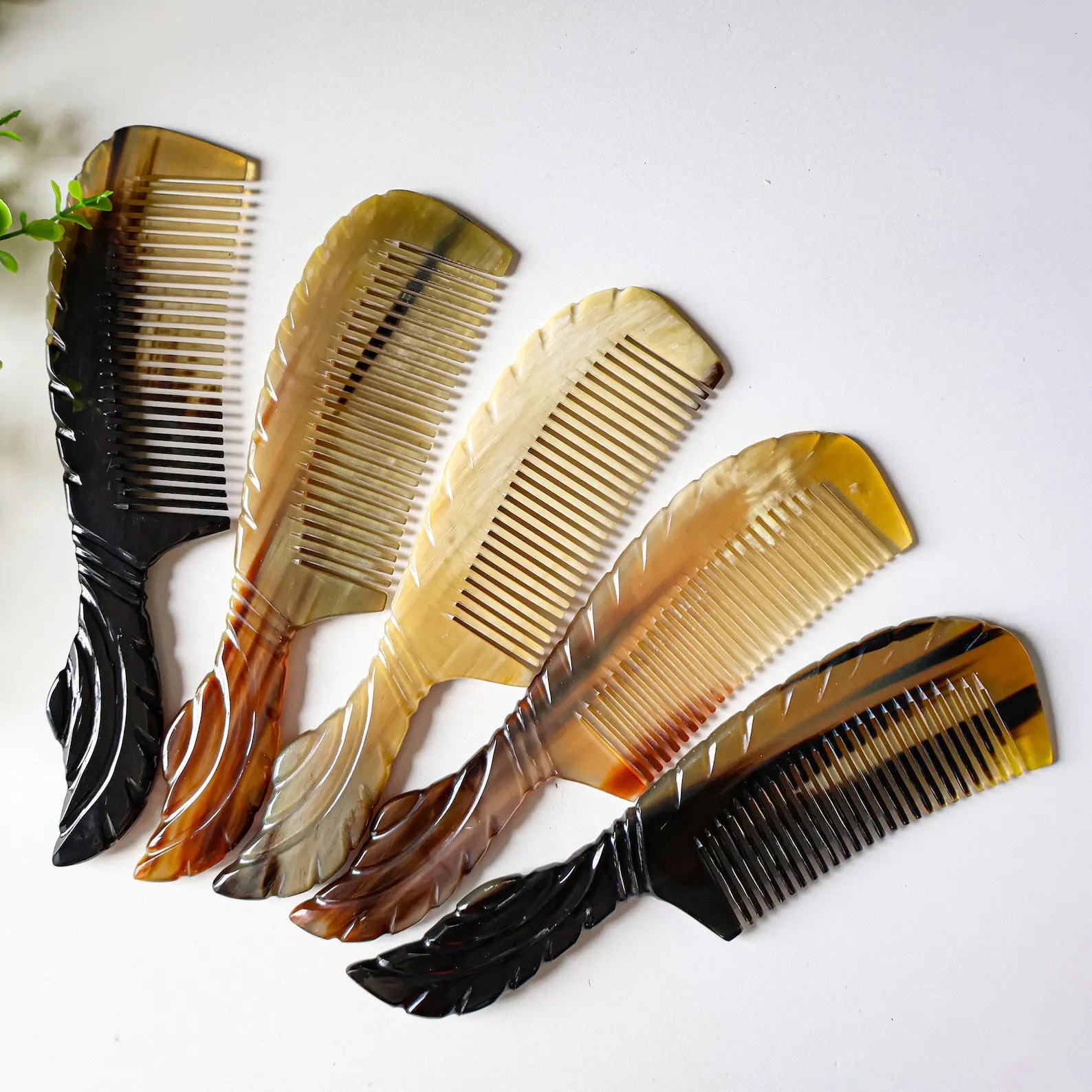 ธรรมชาติ