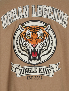 <b>Mens</b> Letterman <b>Varsity</b> <b>Bomber</b> <b>Jacket</b> with Patches Classic Embroidered College Style High Street Stand Collar - Product Image 5