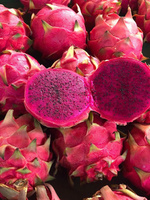 Vietnamese Dragon Fruit Smart Markets - 100% pure verse producten, 60 dagen houdbaarheid TECHMIFOOD Binh Thuan Vietnam Singapore Maleisië