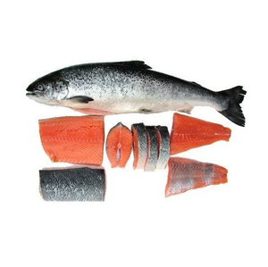 Wholesale Dealer and Supplier Of Fresh / Frozen Salmon <b>Fish</b> Best Quality Best Factory Price Bulk Buy Online - Product Image 4