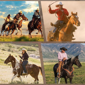 Western Mecates Rênes Rênes tressées Rênes Chevaux Poly Roper Rênes Round Trail Rein Premium Cowboy Horse Tack Training Roping - Product Image 5
