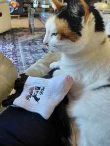 Chaussettes de Pilates antidérapantes en coton doux personnalisées pour femmes avec logo brodé Pilates Cat Meow pour les amoureux des animaux et des chats - Product Image 2