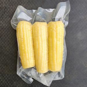 Maíz Dulce Blanco/Amarillo Entero Congelado LQF 100% Puro y Natural de Calidad Superior, Envasado al Vacío a Granel de Vietnam - Product Image 3
