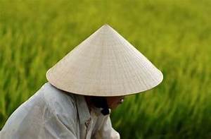 SOMBRERO CÓNICO VIETNAMIGO HECHO A MANO DE PURA HOJA DE PALMA PARA LA PROTECCIÓN DIARIA DEL SOL PRODUCTO LIMPIO ECOLÓGICO - Product Image 5