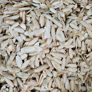 HOT DEAL CUTTLEBONE SUPPLY IN BULK EXPORT WITH BEST PRICES - Product Image 1